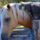 Baratsag-002_1810203_9262_t