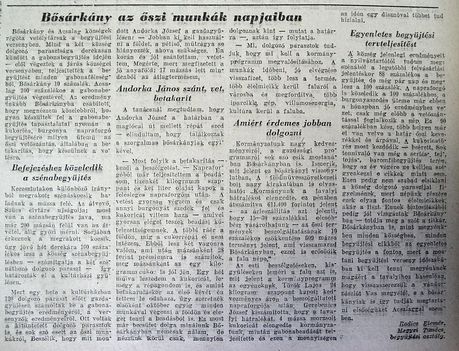 Bősárkány az őszi, Győr-Sopronmegyei Hírlap, 1953.09.22.