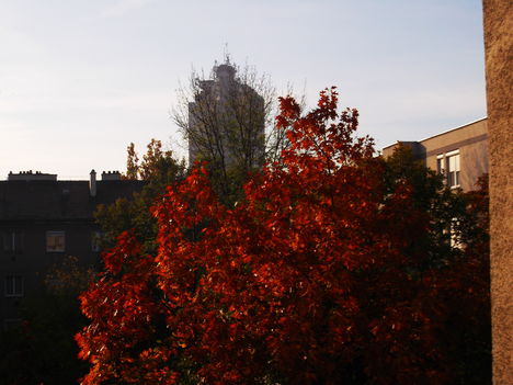 DSCF3963