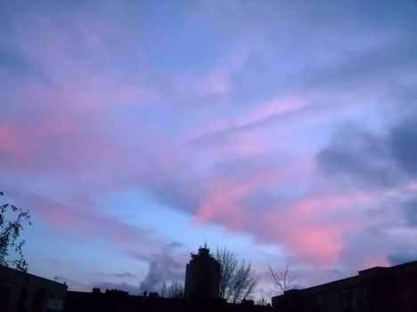 DSCF4521