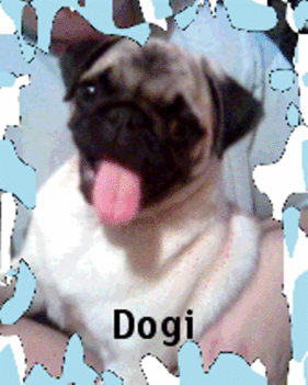 Én vagyok Dogi