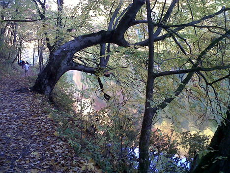 IMG-20131012-00337