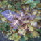 IMG-20131012-00434