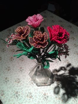 Újabb rózsáim