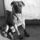 User_9160404_1296896538271_box2_1081770_6749_t