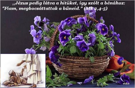 Ige a mai napra