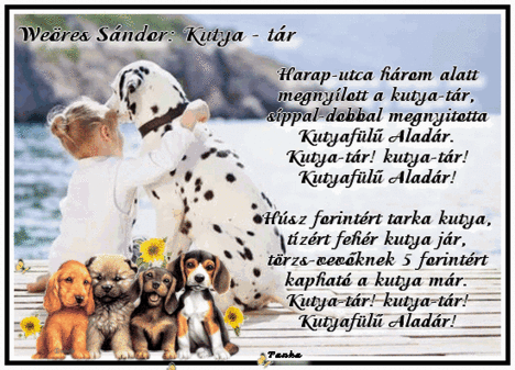 Kutya - tár