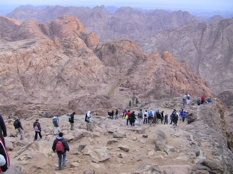 Sinai félsziget