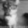 En_mar_minden_orat_atallitottam_1825236_9793_t