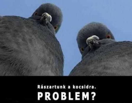 Gonosz galambok