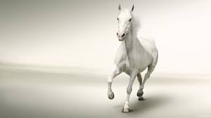 White Horse