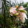 20140409_083556_1828901_7024_t