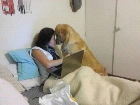 6678