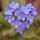 Annyi_lehetoseg_van_a_hetkoznapokban_a_szeretetre_1828559_6968_t
