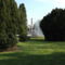 DSCF5546
