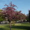DSCF5548