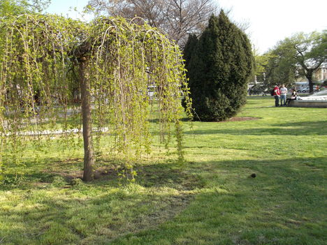 DSCF5549