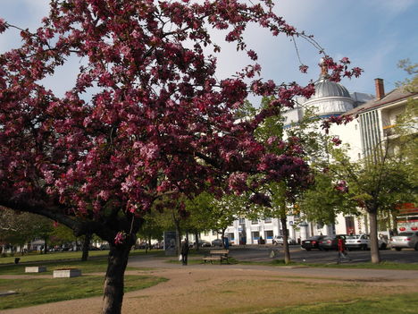 DSCF5551