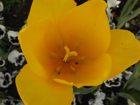 DSCF5570