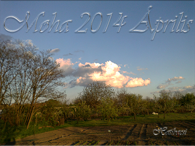 Moha-2014-Április