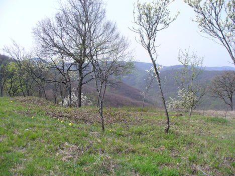 P1140836