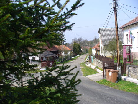 P1140855