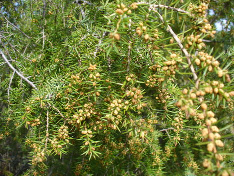 P1140880