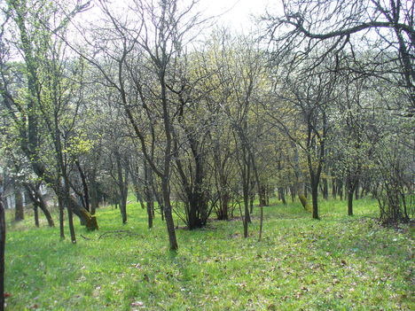 P1140885