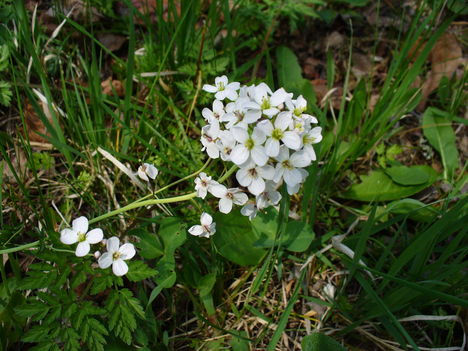 P1140887