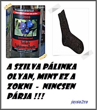 2898584082_szilva palinka - zokni