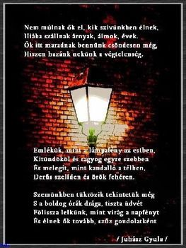EMLÉKEZZÜNK SZERETTEINKRE.Emlékezzünk rájuk akik oly fontosak voltak életükben.