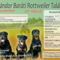 III. Vándor Baráti Rottweiler Találkozó