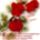 Kell_az_otthon_____1831912_7152_t