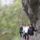 2014_apr_torda-002_1833296_7592_t