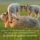 Efezusi_level_1833695_8271_t