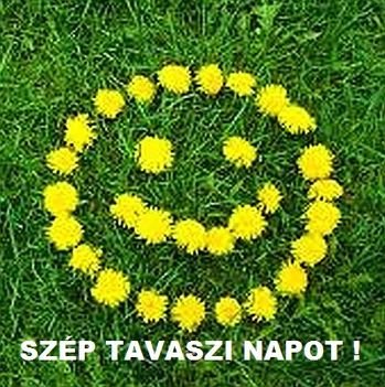Jókívánság...