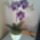 Orhidea_1430209_3103_n_1833164_4319_t