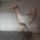 20140507_160300_1838733_8332_t