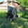 Anya_kepei_2_009_1838708_3832_t