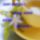 Derus_napot_1838940_6136_t