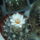 Dscf8612_1838397_9295_t
