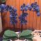 Kék Orchideám 3