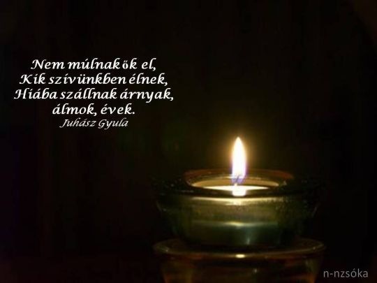 EMLÉKEZZÜNK SZERETTEINKRE: nem_mulnak_el_ok___ (kép)
