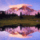 Devenyi_erika_a_nyugalom__tava_1839766_7832_t