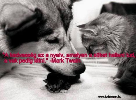 "A kedvesség az a nyelv, amelyen a süket hallani tud, a vak pedig látni." -Mark Twain 