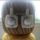 Bogyos_fuli_kagylo_gyongyben_1_1841210_6911_t
