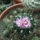 Dscf8636_1841848_6203_t