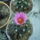 Dscf8640_1841846_4655_t