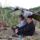 Morotvai_kis_horgaszok_1841182_4645_t