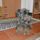 Princ_az_egyik_kutyusunk_1841960_9371_t